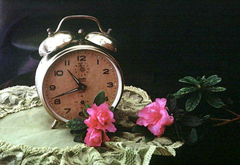 still life, lace tablecloth, alarm, flower, clock, old, HD wallpaper
