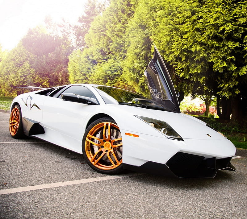 Lambo Sv, lamborghini, orange wheels, HD wallpaper | Peakpx