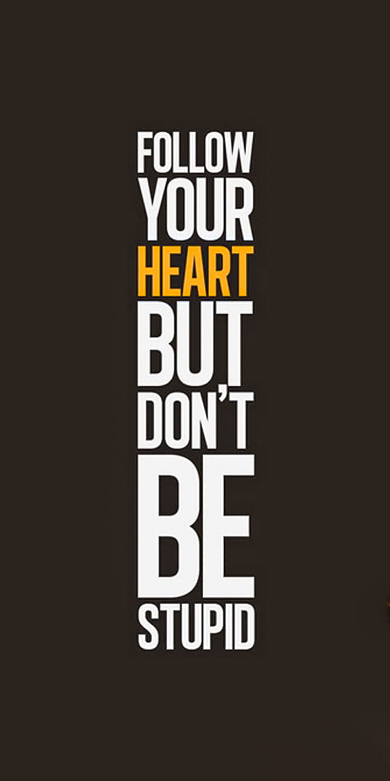 follow your heart, dont, lie, lies, love, quotes, saying, sayings, neko, HD phone wallpaper