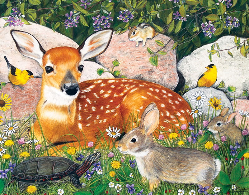Fawn and Friends F1Cmp, chipmunk, art, rabbit, fawn, songbirds, bonito, turtle, artwork, deer, animal, goldfinches, painting, wide screen, wildlife, HD wallpaper