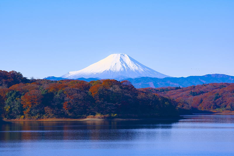 Mount Fuji in Fall, Fall, Scenery, Mountains, japan, Autumn, Nature, HD wallpaper