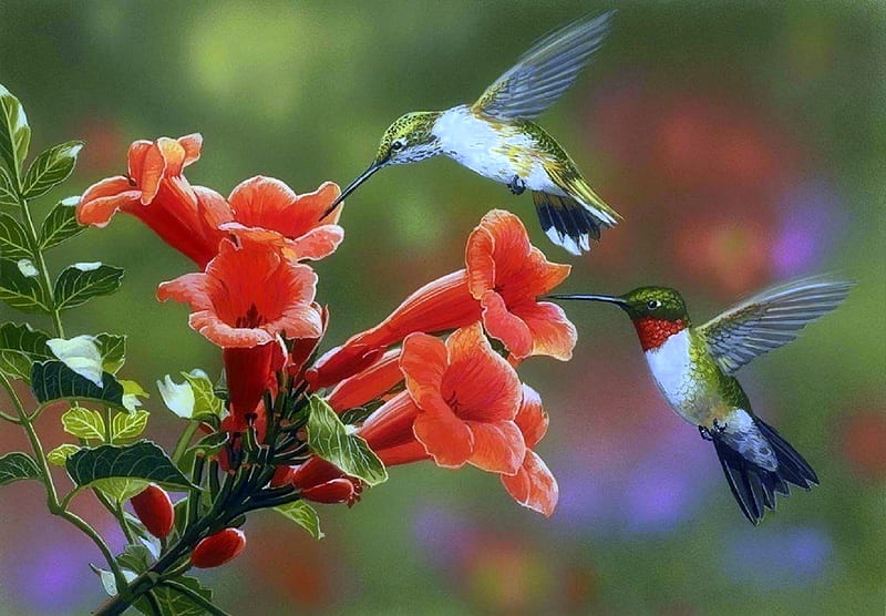 Hummingbirds & Trumpet Flowers, hummingbirds, love four seasons, spring, paintings, summer, flowers, nature, beloved valentines, animals, HD wallpaper