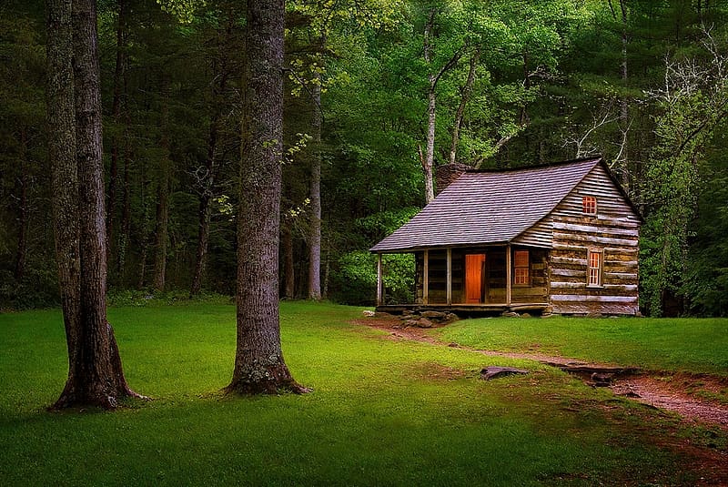 Wooden Cabin, Cabin, Seclusion, House, Nature, HD wallpaper