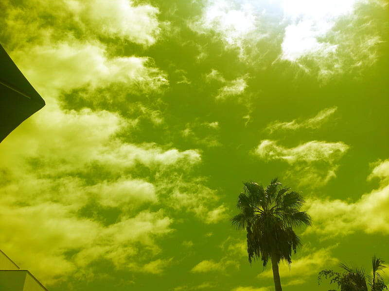 Time stand still, palm, sky, modified, green, HD wallpaper