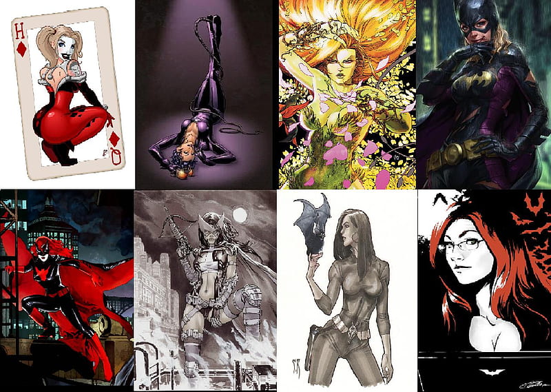 Women Of Batman, batwoman, barbara gordon, harley quinn, batgirl, catwoman, poison ivytalia al ghul, the huntress, HD wallpaper
