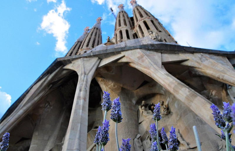 Sagrada Familia (Spain), Spain, church, Barcelona, Sagrada Familia, HD wallpaper