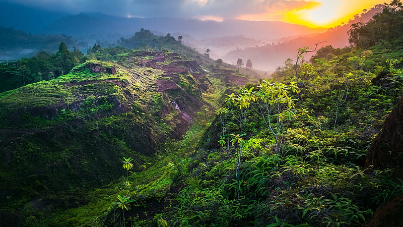 Green Plants Covered Mountains During Sunrise Beautiful, HD wallpaper