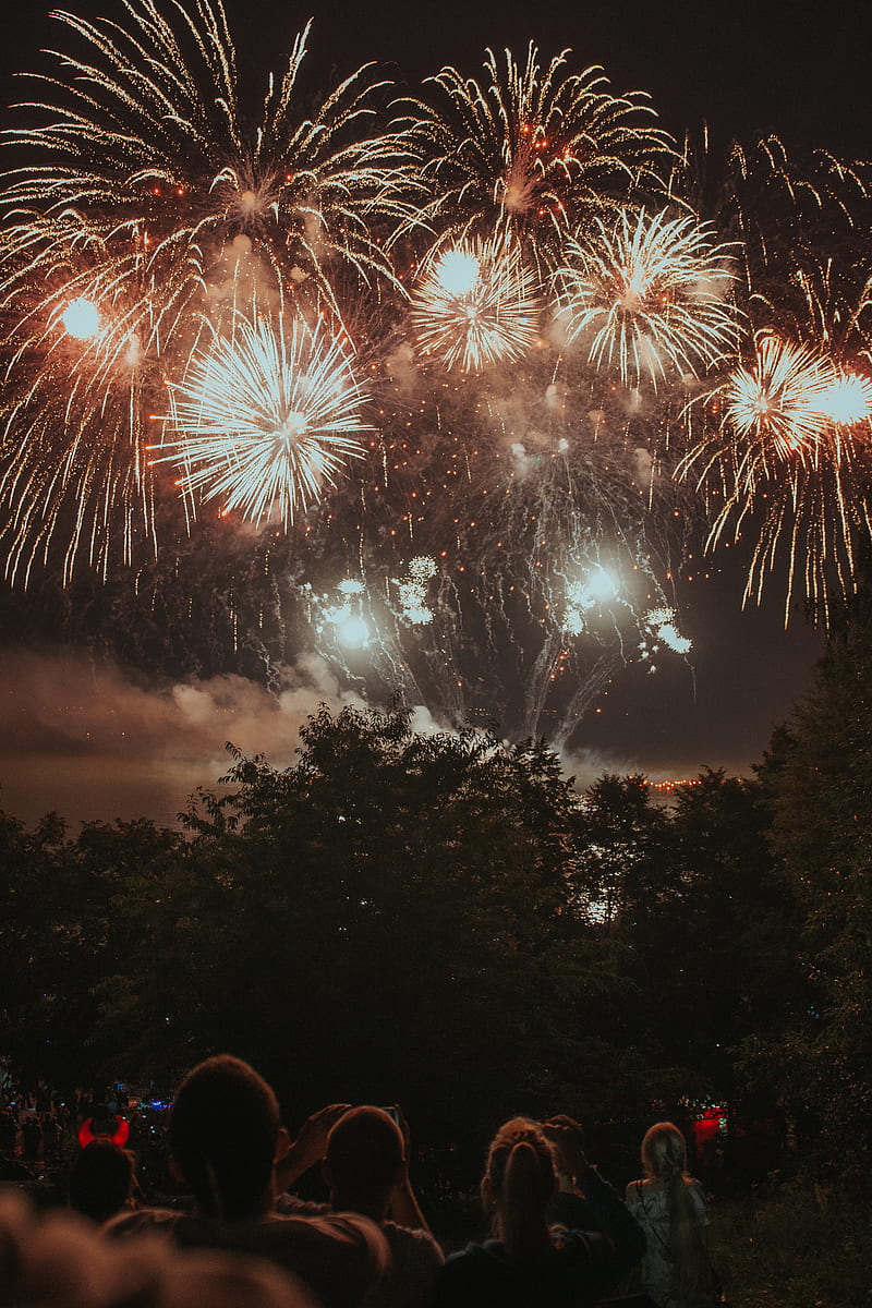 group of people watching fireworks display, HD phone wallpaper
