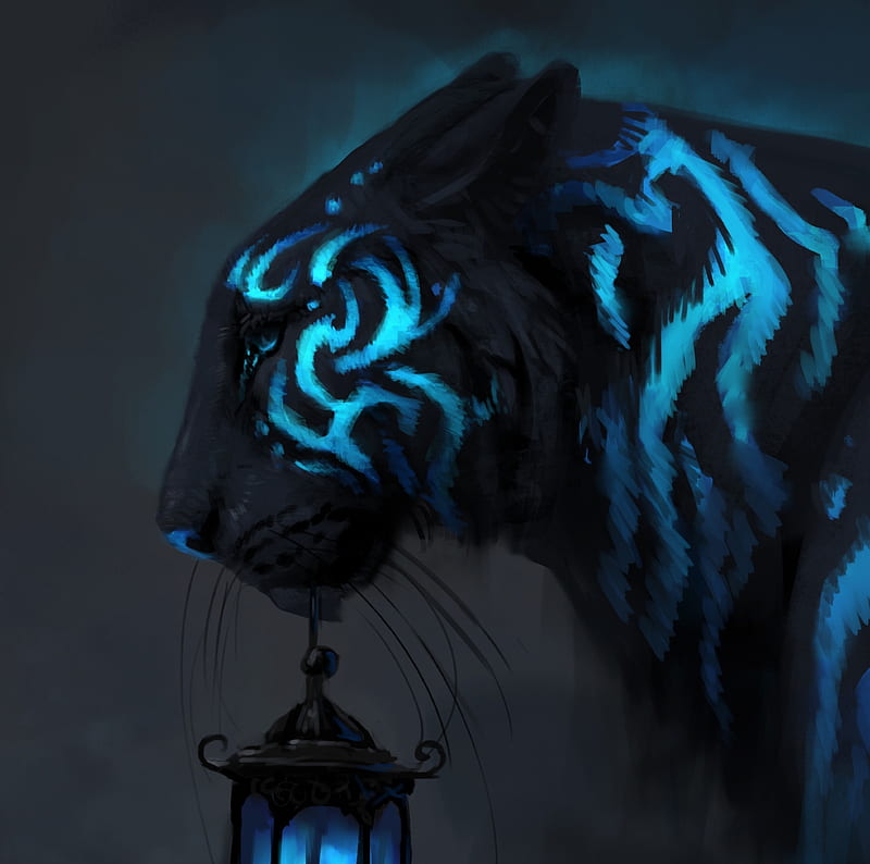 Transient, fantasy, lantern, luminos, black, tigru, tiger, jademere, blue, HD wallpaper