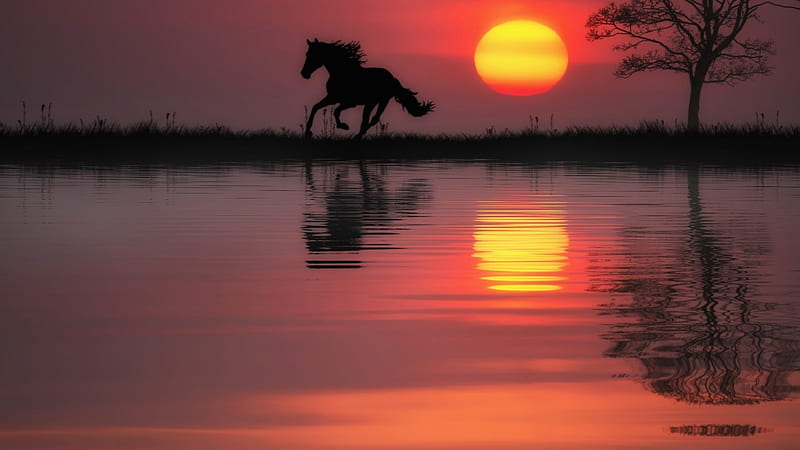 Beautiful Sunset, sunset, horse, natute, animals, HD wallpaper