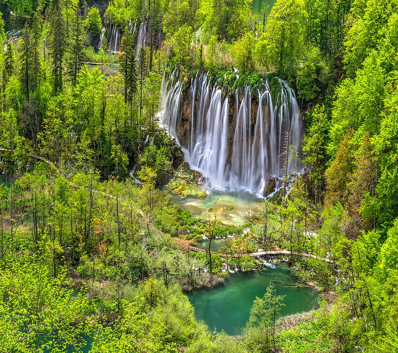 Forest, lake, tree, water, HD wallpaper | Peakpx