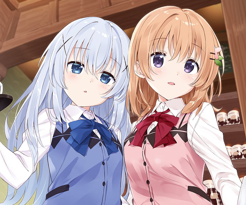 Anime, Is the Order a Rabbit?, Chino Kafū , Cocoa Hoto, HD wallpaper