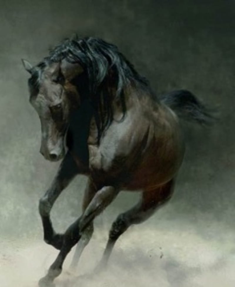 Mustang Horse Ultra, Animals, Horses, Horse, Mustang, HD phone wallpaper