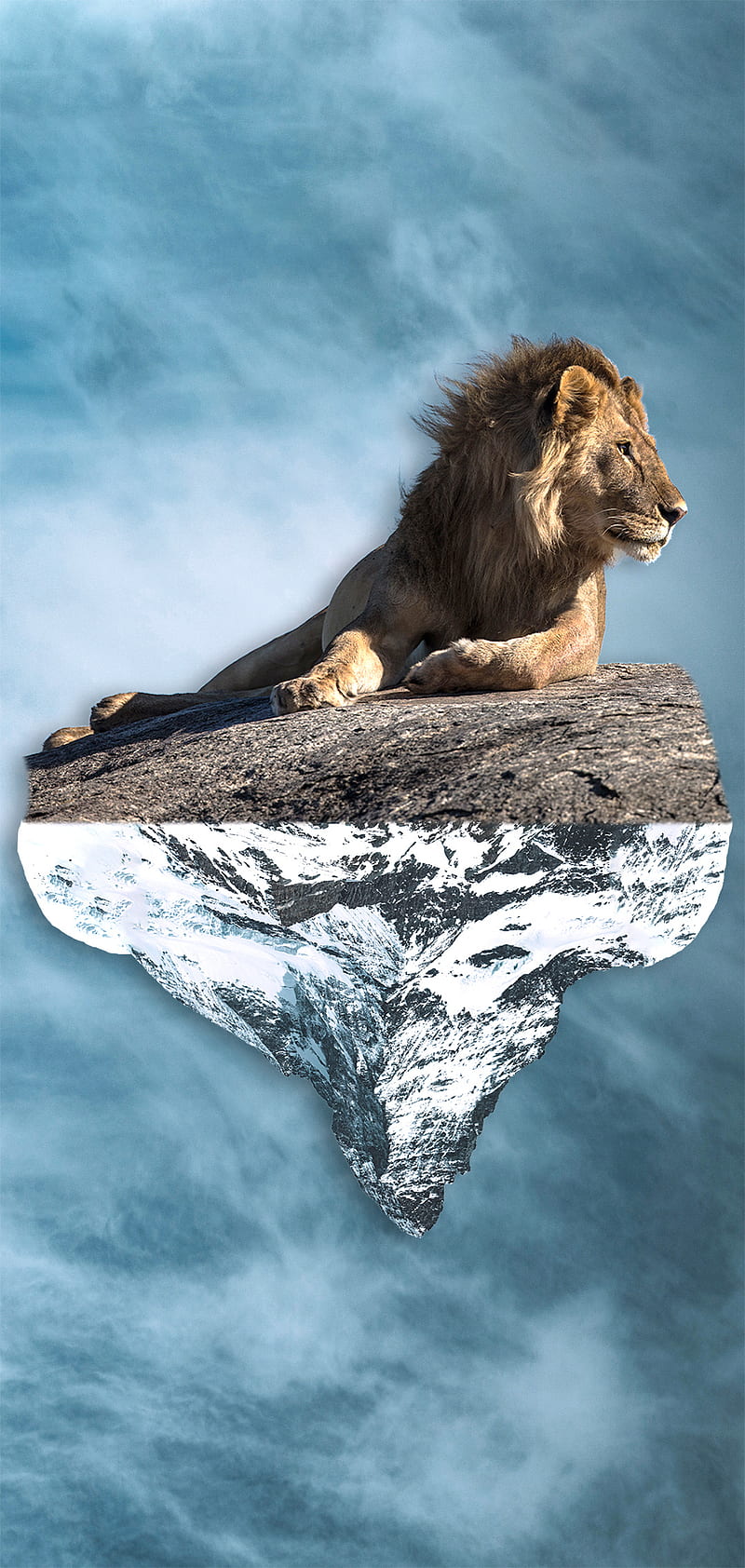 Lion, sky, 3d, mountains, king, nature, , hills, animals, HD phone  wallpaper | Peakpx