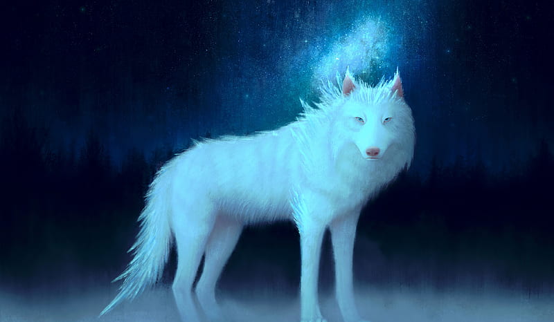 wolf, white, art, animal, HD wallpaper