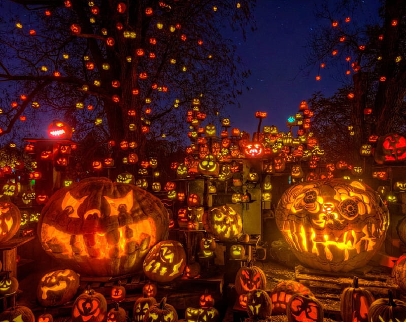 Halloween, pretty, wonderful, stunning, marvellous, bonito, adorable lights, graphy, nice, outstanding pumpkin, samhain, super, amazing, pumpkinhead, fantastic, abstract, halloween pumpkins, awesome, great, HD wallpaper