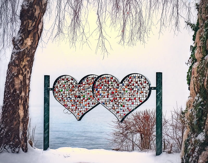 Valentine Hearts, Trees, Love, corazones, Lake, Valentine, Locks, Snow, Winter, HD wallpaper
