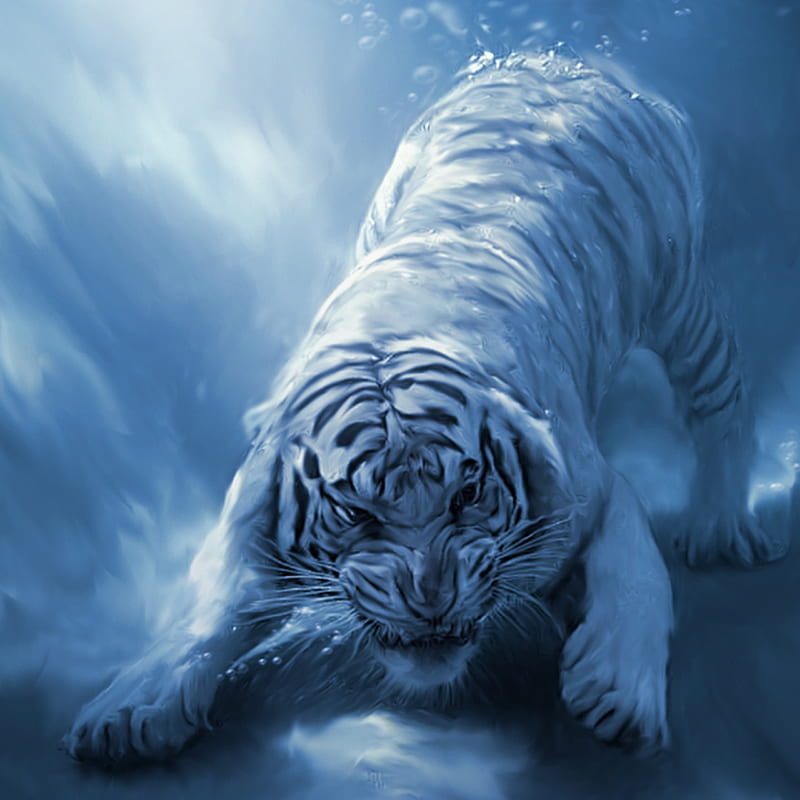Water Tiger, animal, blue, tiger, water, HD phone wallpaper | Peakpx