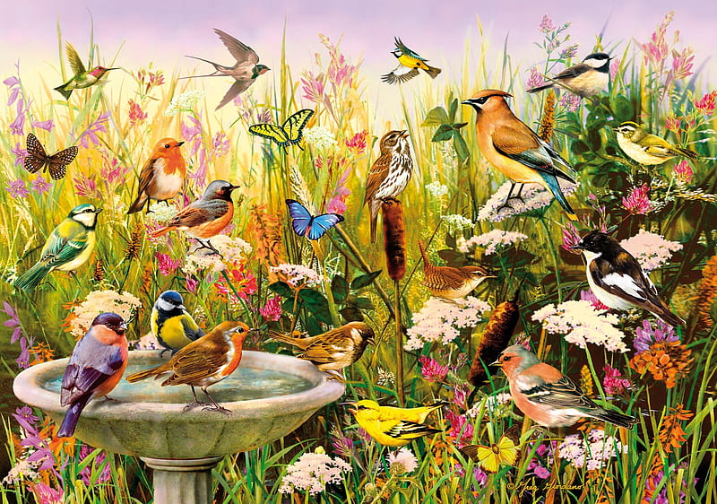 1080P free download | Birds, bird, painting, insect, flower, pasari