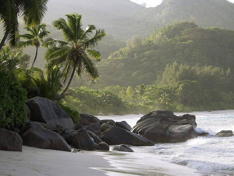 ISLAND MIST, rocks, oceans, palmtrees, islands, sea, waterscapes, beaches, jungle, seaside, forests, HD wallpaper