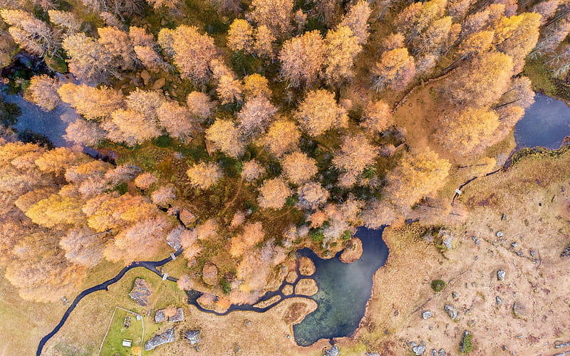 spring, forest, top view, quadrocopter, forest after winter, river, HD wallpaper