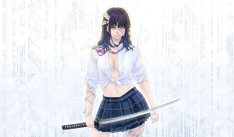 girl Samurai, girls, wall, sexy, anime, HD wallpaper
