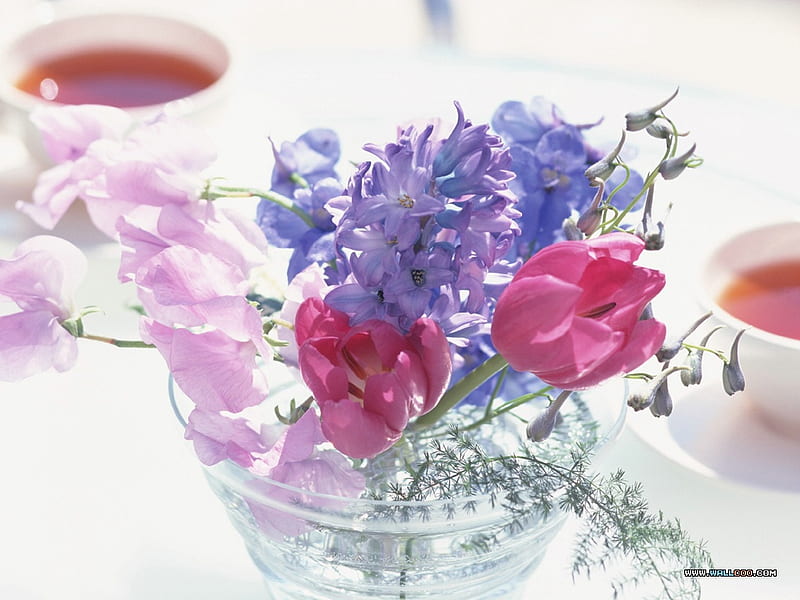Morning Florals, sweet peas, sweet, cuts, flowers, tulips, cups, florals, table, hyacinths, bouquets, fresh, setting, spring, glass, saucers, water, dish, coffee, HD wallpaper