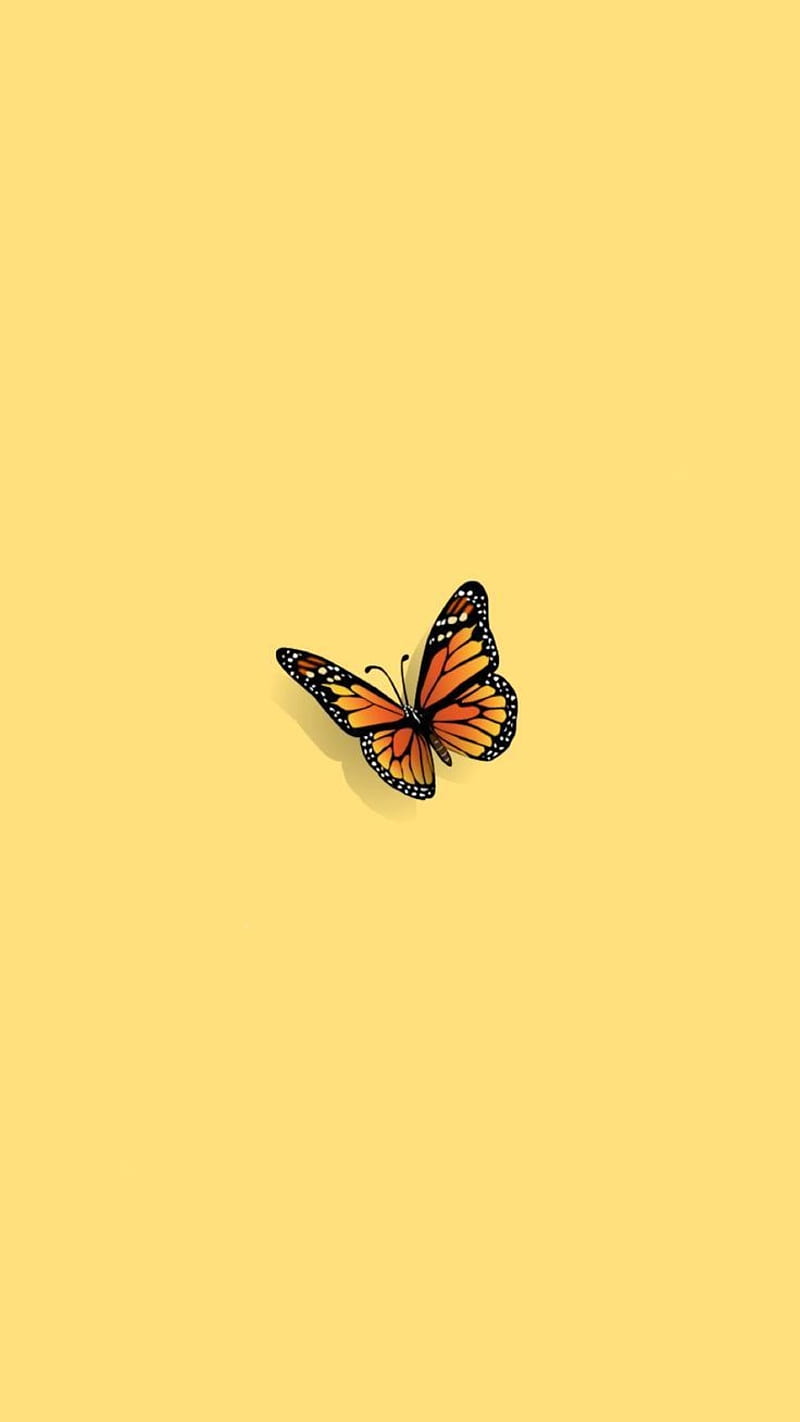 Butterfly, aes, aesthetic, yellow, yellow, HD phone wallpaper | Peakpx