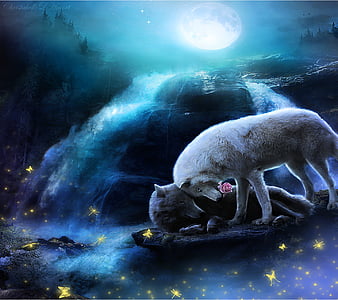 Romantic Wolf Couple Digital Art by Catarina Neto - Fine Art America