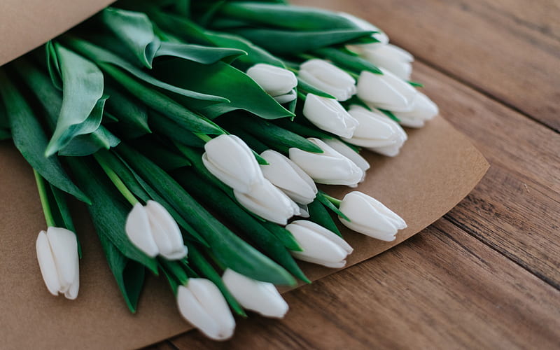 white tulips, spring bouquet, spring, bouquet of tulips, white flowers, HD wallpaper