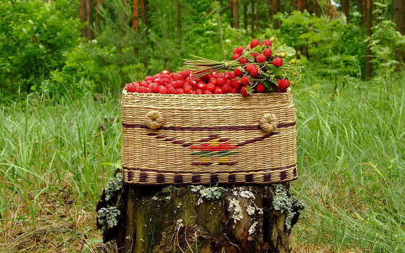 strawberries, fruit, graphy, food, grass, basket, nature, wood, HD wallpaper