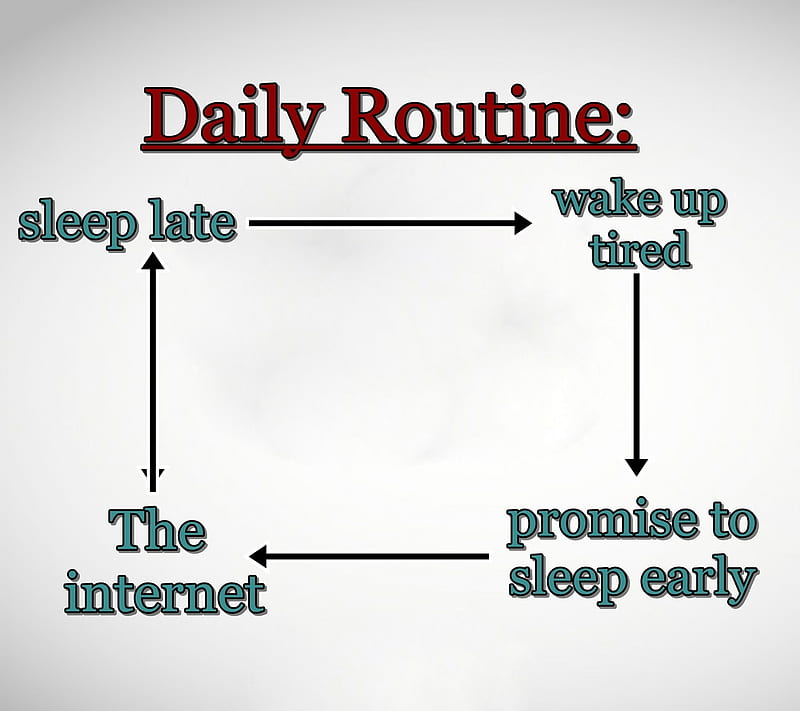 Daily routine, cool, funny, new, quote, saying, sign, sleep, tired, HD  wallpaper | Peakpx