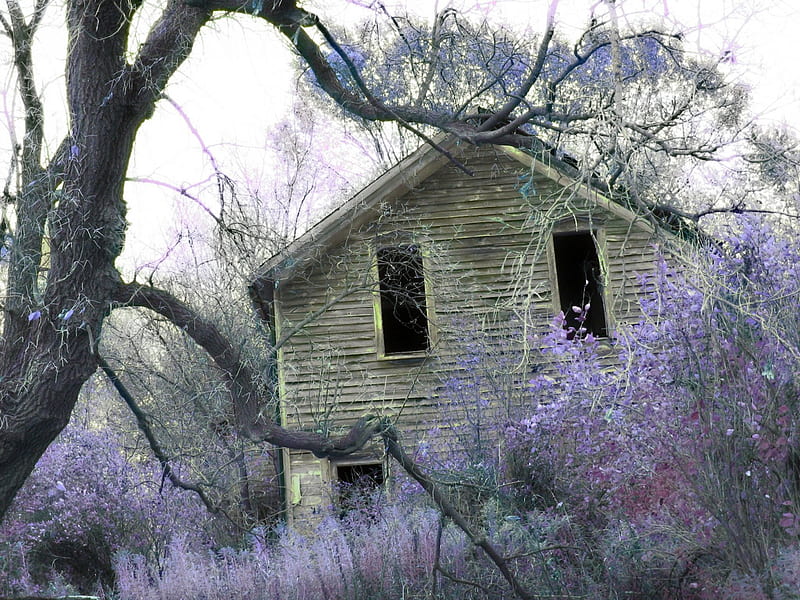 Creepy Old Farmhouse, creepy, farmhouse, holidays, halloween, HD wallpaper