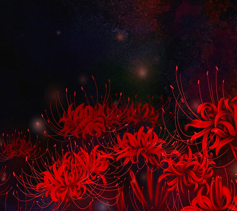 Red Floral Flowers, floral flowers, red, HD wallpaper | Peakpx