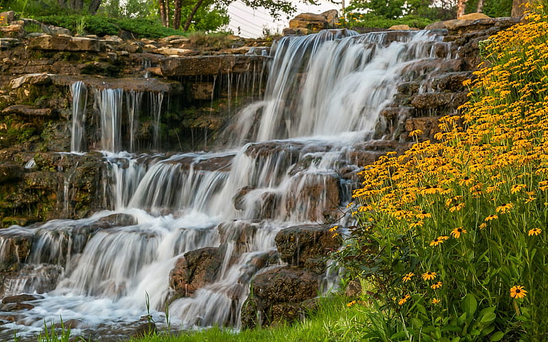Spyglass Falls, rocks, waterfall, flowers, nature, HD wallpaper