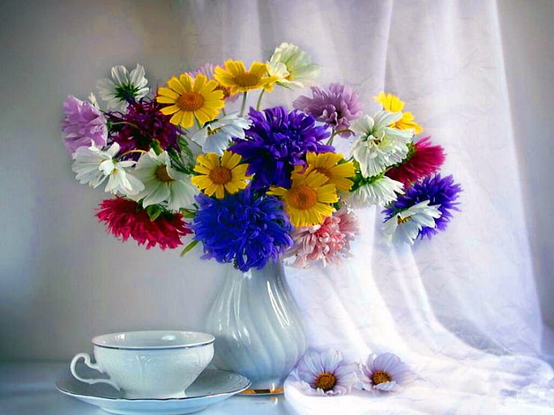 flowers for my dear Monica, beauty, flowers, nature, paradise, HD wallpaper