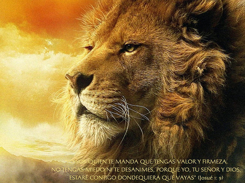 Aslan, The Chronicles of Narnia, fantasy, movie, the chronicles of narnia, entertainment, prince caspian, aslan, narnia, lion, HD wallpaper