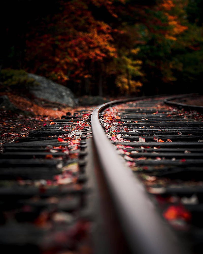 Railway Track , black, road, HD phone wallpaper