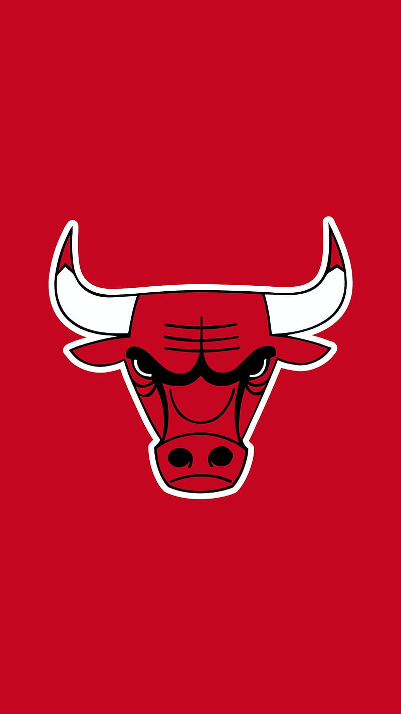 Chicago Bulls logo, basketball, bulls, chicago, chicago bulls, emblem, logo, nba, HD phone wallpaper