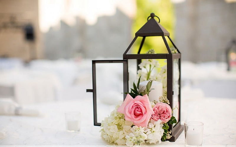 Romantic Lantern, candle, pretty, lovely, lantern, rose, bonito, home decor, wedding, decor, softness, pink rose, graphy, flowers, HD wallpaper