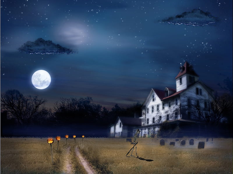 Haunted house by ramiz, moon, house, 3d, hallowen, skull, HD wallpaper |  Peakpx