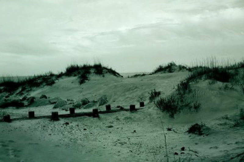 Black and White Sanddunes, black, sand, white, dune, HD wallpaper Black and White Sanddunes, black, sand, white, dune, HD wallpaper