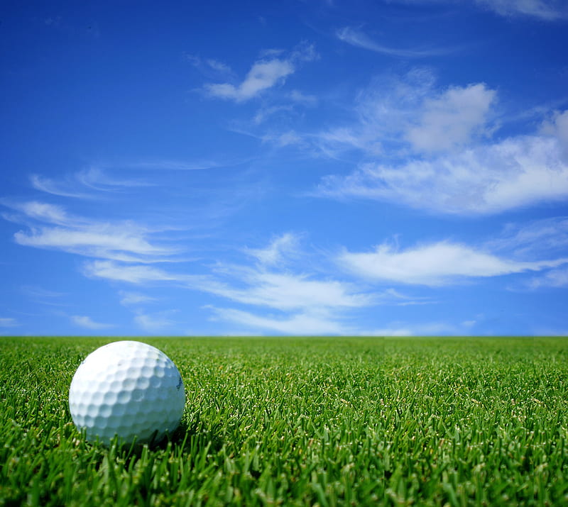 Golf, deportes, Fondo de pantalla HD | Peakpx