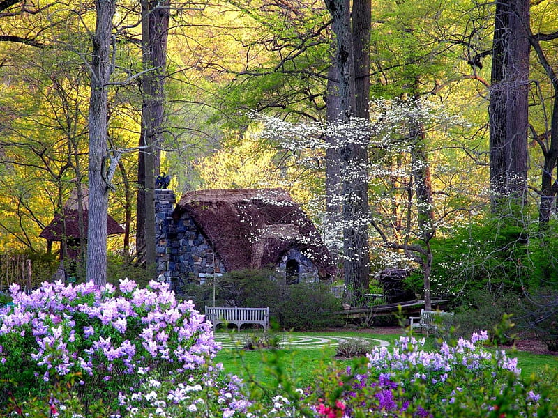 Fairy's Cottage, forest, grass, cottage, benches, woods, flowers, bench, trees, HD wallpaper