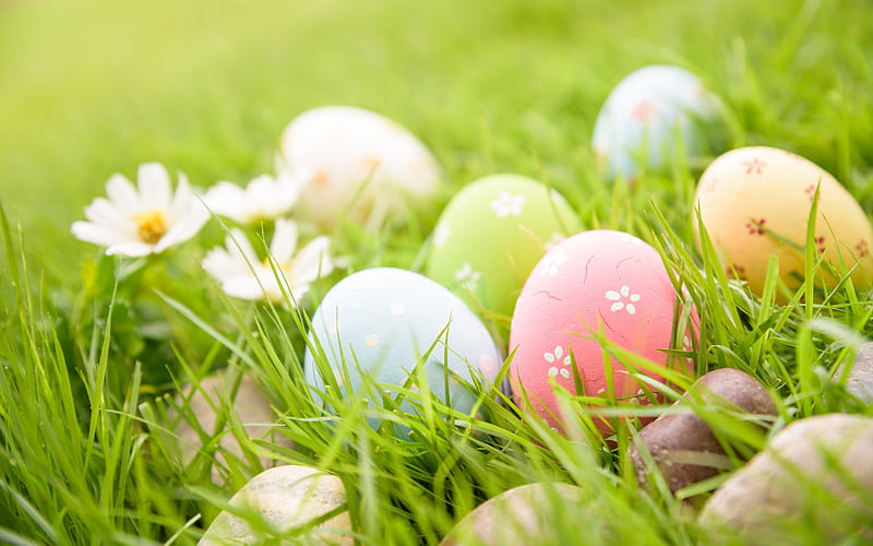 Happy Easter!, egg, grass, green, stone, hunt, flower, easter, pasti, pink, HD wallpaper