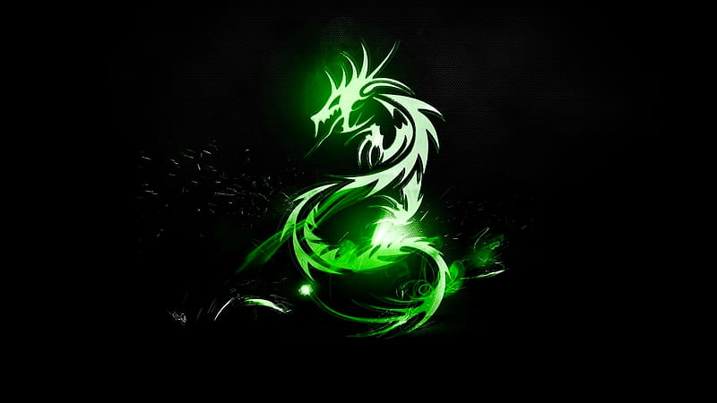 Jade dragon, cyberpunk, dragons, green, metal, neon, technology, tribal, HD wallpaper