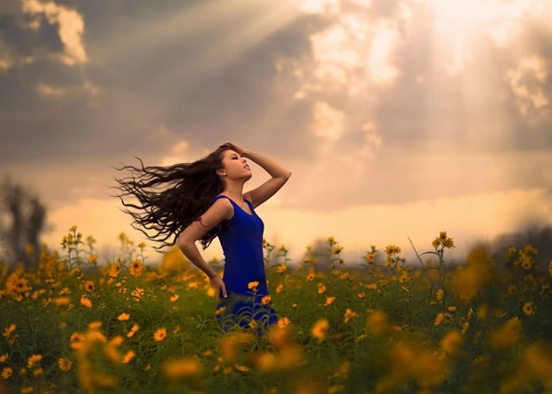 Rays of the sun, in nature, splendor, girl, wind hair, flowers, field, meadow, HD wallpaper