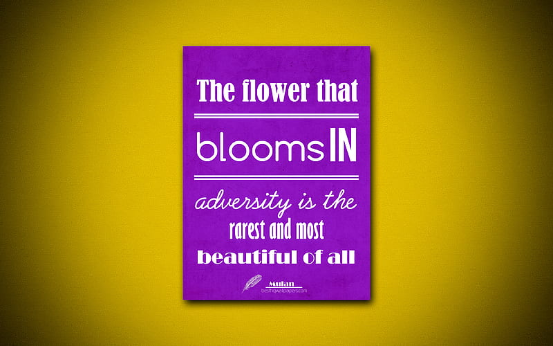 The flower that blooms in adversity is the rarest and most beautiful of all, quotes about flowers, violet paper, inspiration, Mulan quotes, HD wallpaper