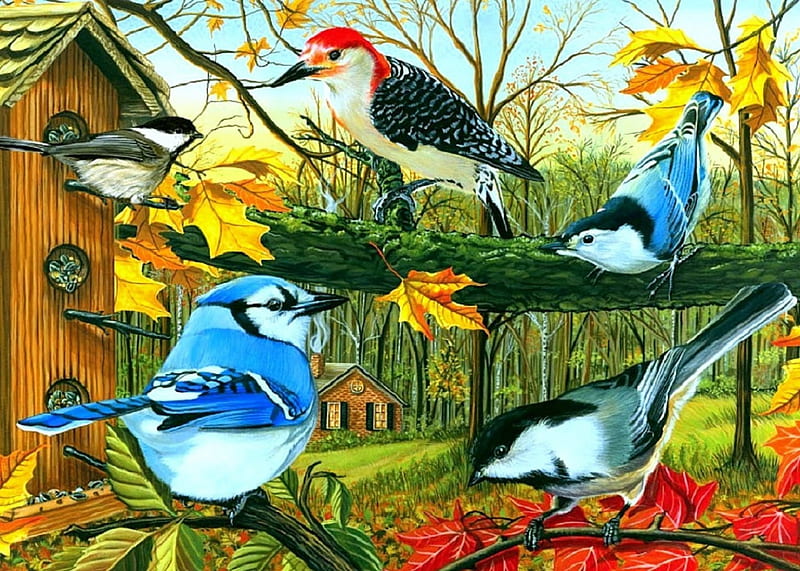 ★Backyard Feeding★, fall season, gardening, autumn, love four seasons, birds, backyard feeding, creative pre-made, digital art, seasons, paintings, flowers, drawings, animals, HD wallpaper