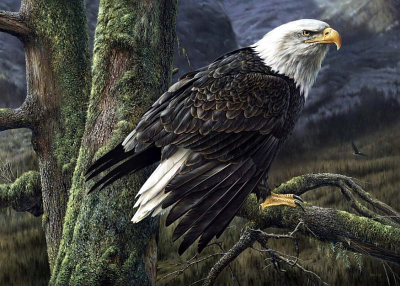 Ruler of the Skies, tree, bald eagle, painting, eagle, resting, majestic, artwork, HD wallpaper | Peakpx